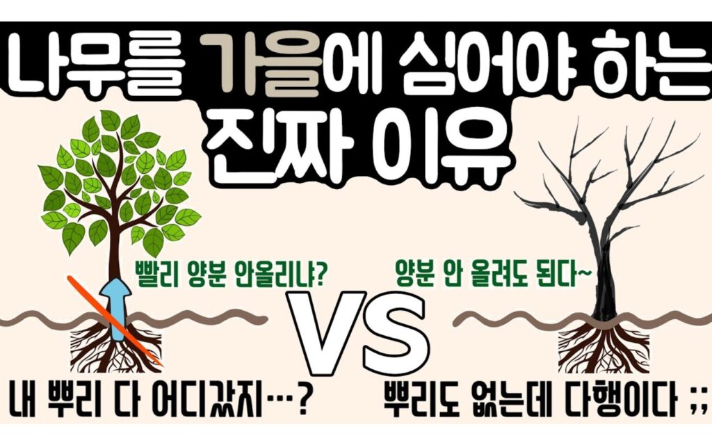 수목 식재 적기, 무엇을 기준으로 결정하는가