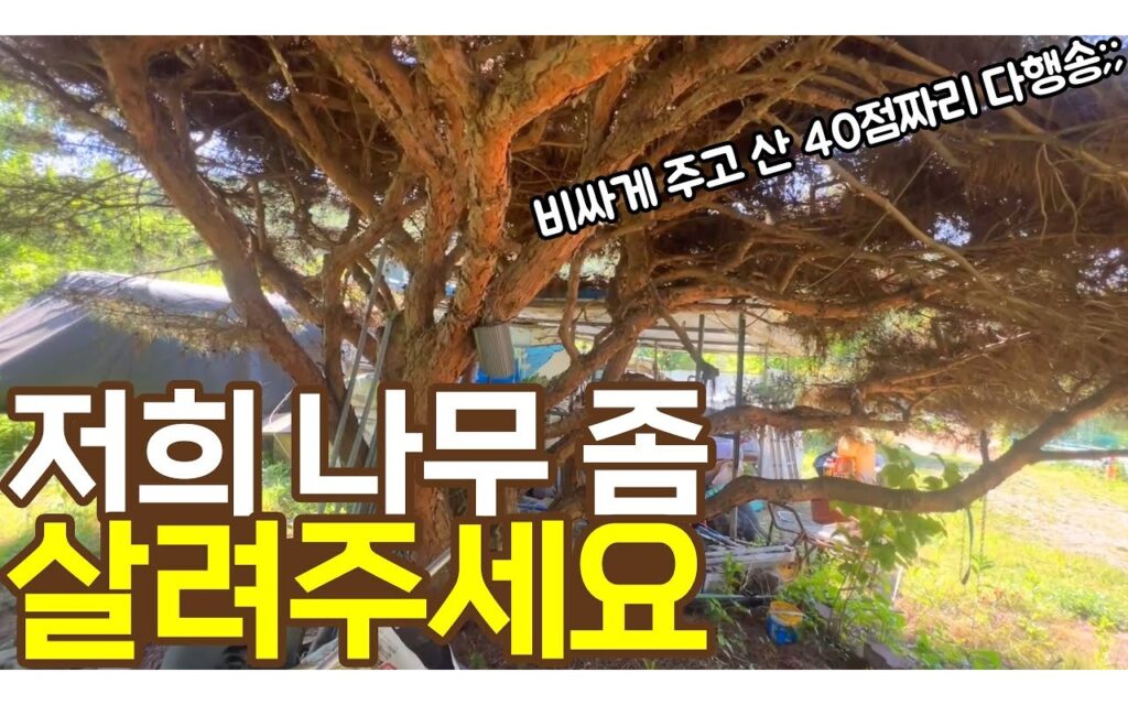 수관 폭 조정, 이설이 불가능한 조건에서의 대안
