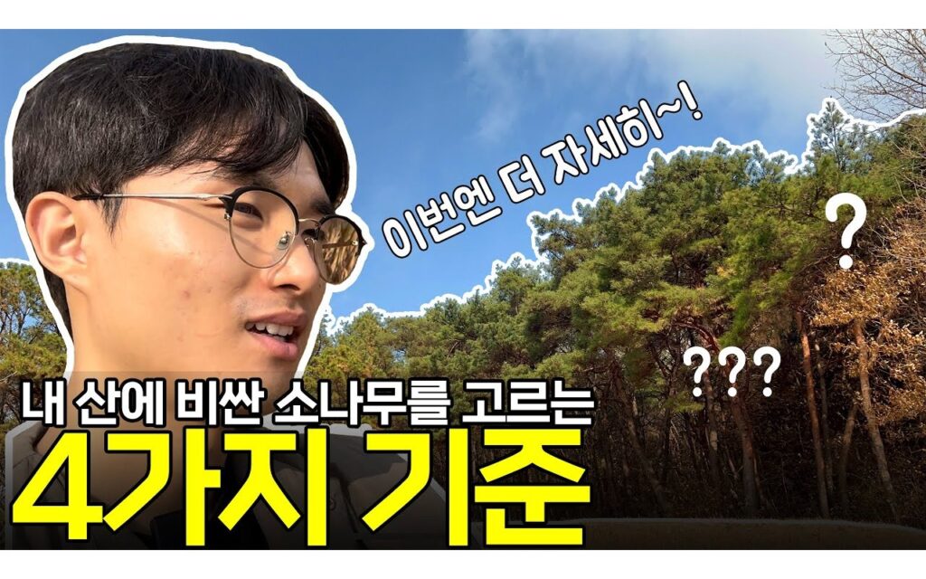임목의 조경수 등급 체계, 규격 대비 수고가 단가를 가른다