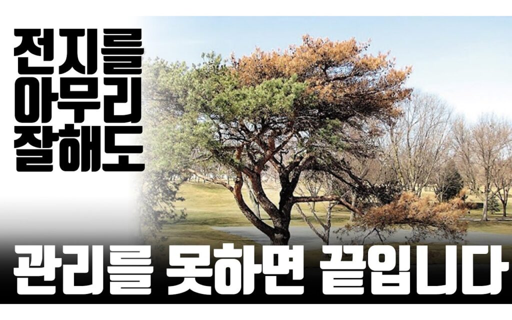 조경수 연간 관리 체계, 시기가 효과를 결정한다