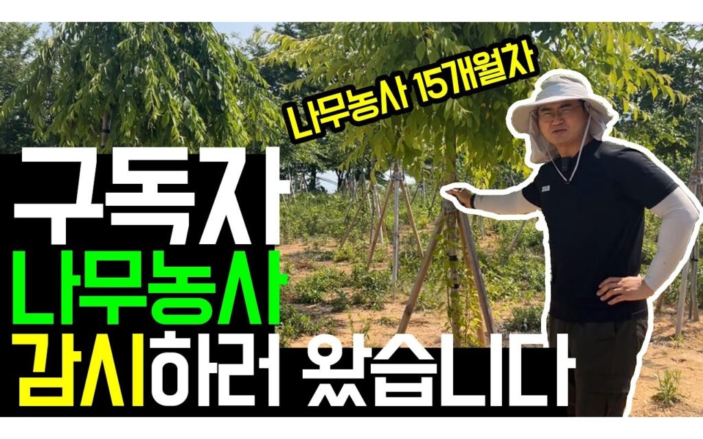 조경수 재배 관리, 컨설팅 이후 이행률이 결과를 가른다