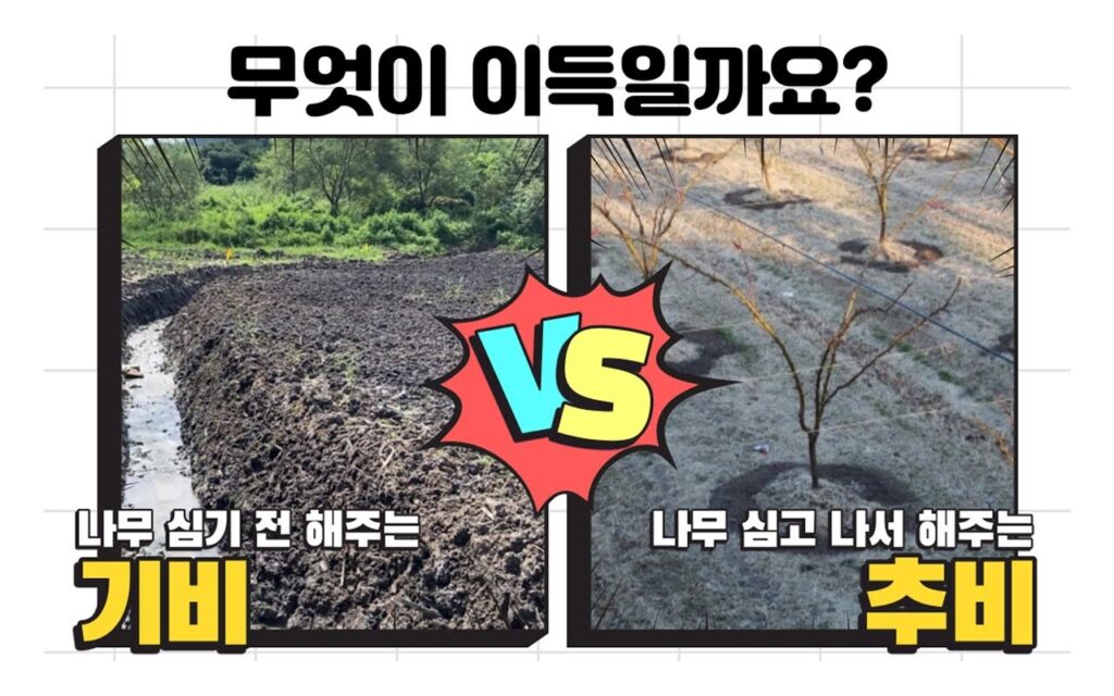 조경수 시비 전략, 기비와 추비의 회수 구조가 다르다