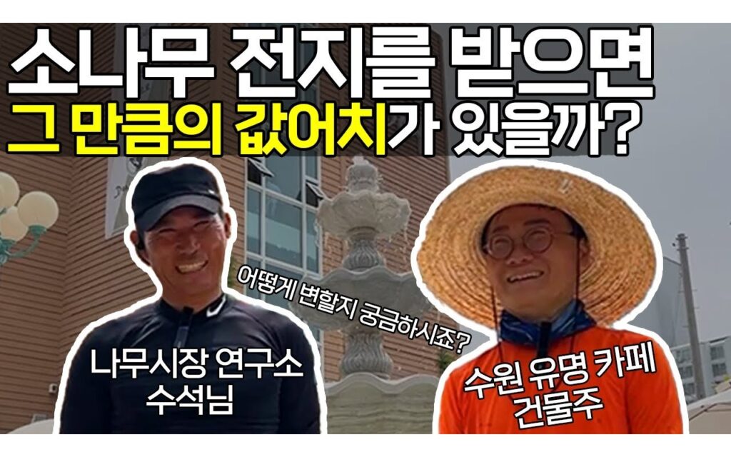 조경수 전지 관리, 왜 3년 단위 계획으로 접근해야 하는가