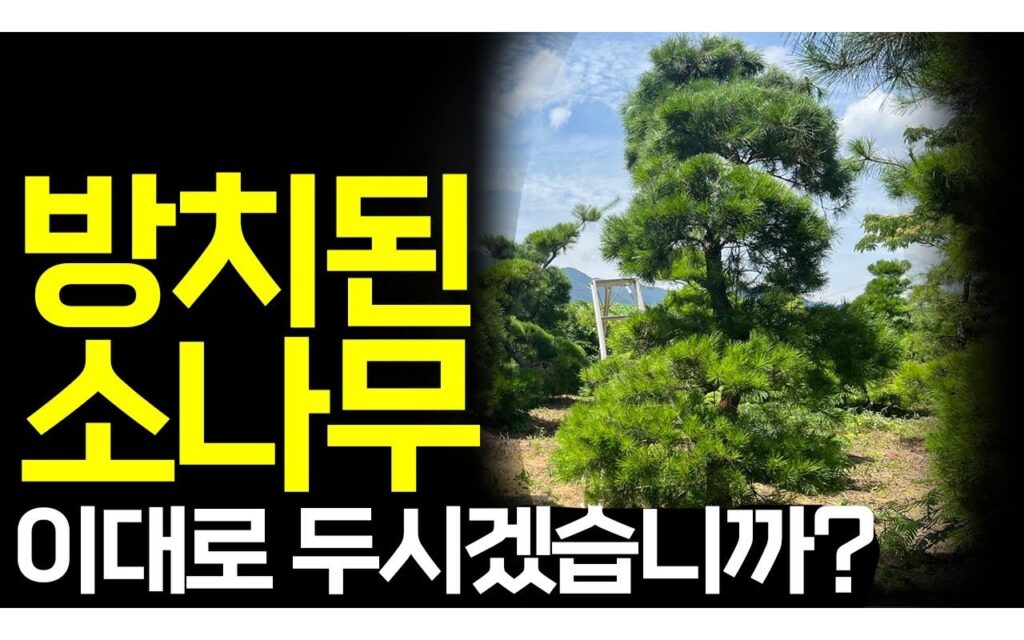 방치 농원의 가치 회복, 재편과 개조 두 축으로 접근한다