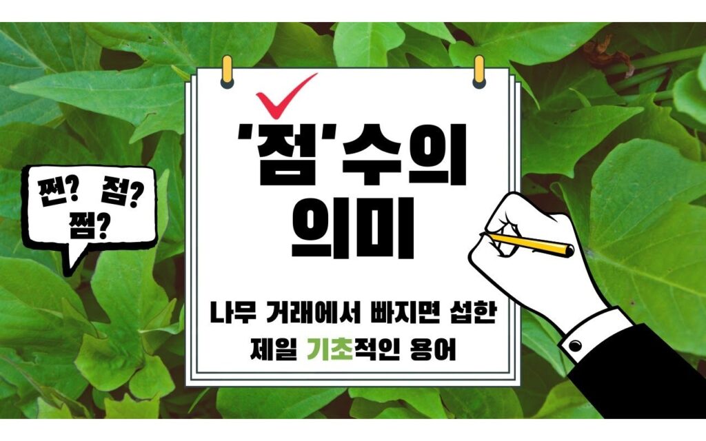 조경수 규격 표기, 근원 직경이 거래 기준이 되는 이유