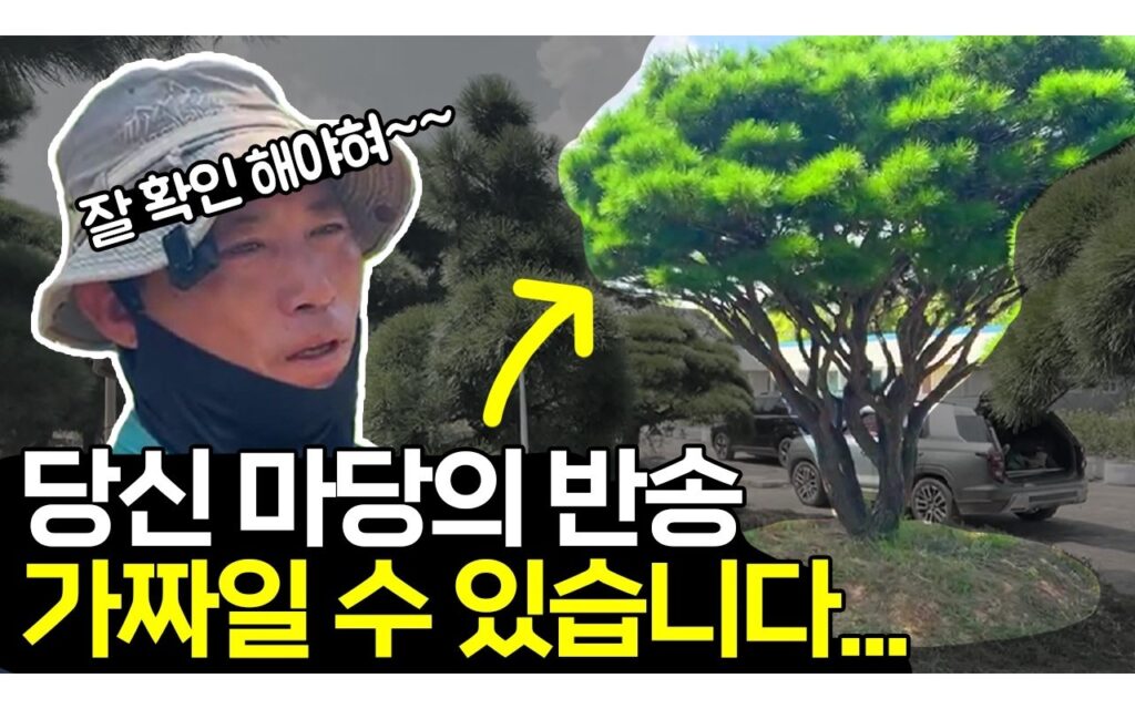 수종 진위 판별, 검수 단계에서 확인하는 형태 지표