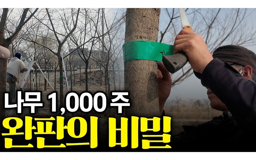 조경수 수종 선택, 출하 시점의 수요를 기준으로 판단한다